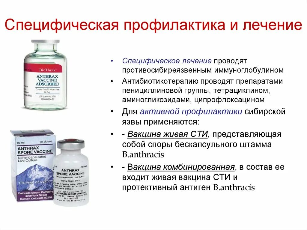 Метод специфической профилактики инфекционных заболеваний. Препараты специфической терапии сибирской язвы. специфическая профилактика сибирской язвы. специфическая профилактика это. препараты для специфической профилактики.