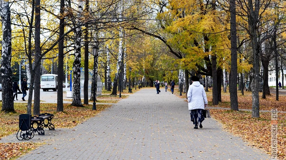 Сходить заранее. Куда сходить на выходных. ноябрь выходные картинки. куда пойти в выходные картинки. куда можно пойти на выходных.