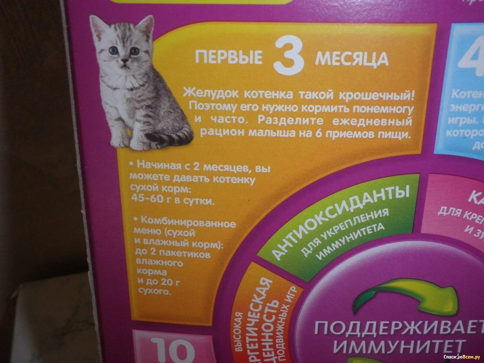 С какого возраста можно кормить котят кормом. Корма для котенка 3 месяца. корм для британских котят 1 месяц. корм для двухмесячных котят. корм для вислоухих кошек.