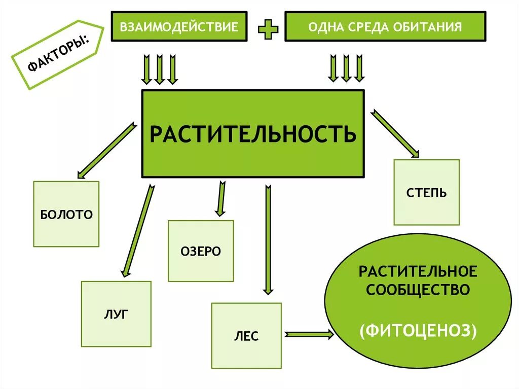 Сообщества биология 6 класс. Презентация фитоценозы 7 класс. растительные сообщества презентация. растительные сообщества 7 класс биология.