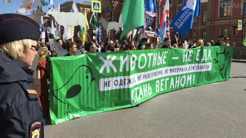 зеленый флажок. зеленые правые. зеленые правые. Protect 600. российская экологическая партия зелёные лидер.