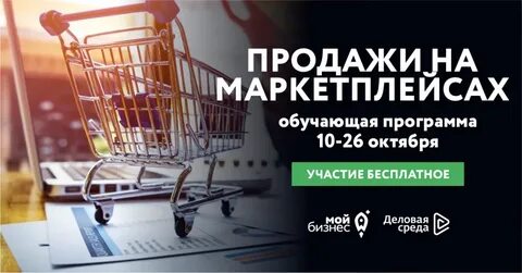 Бизнес на маркетплейсах