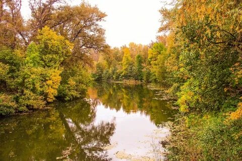 Мичуринск воронеж