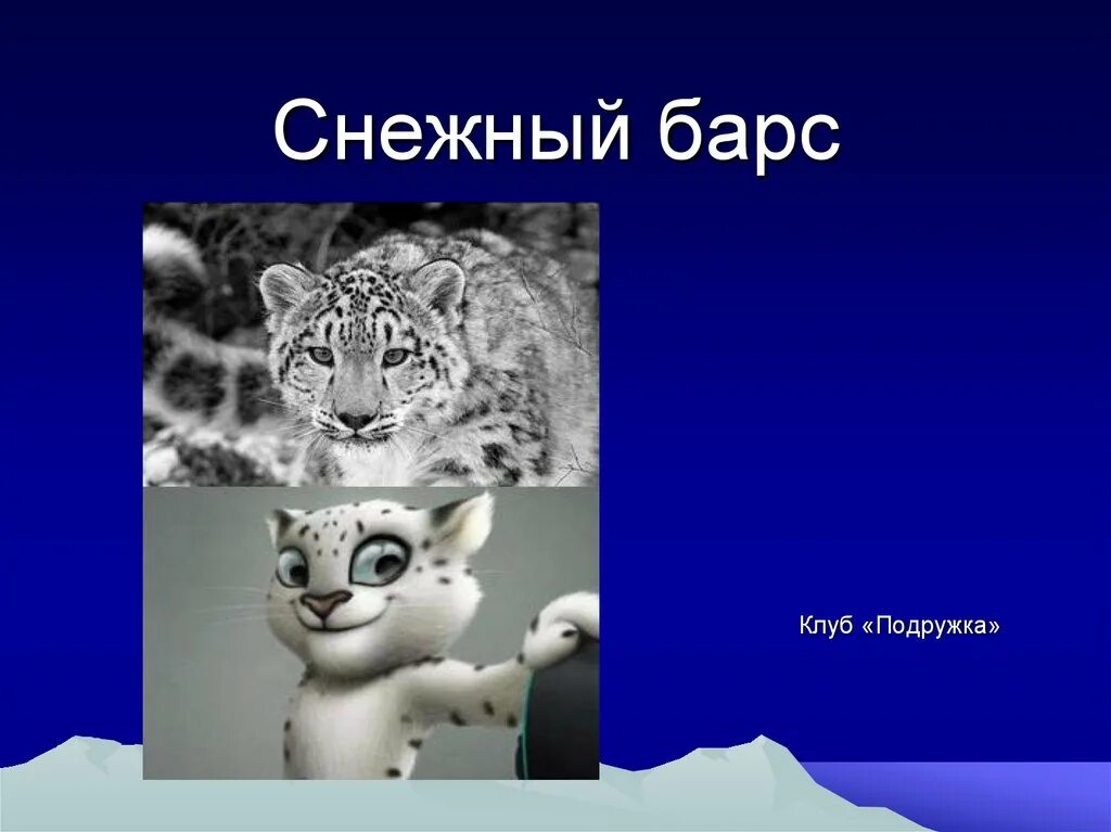 Загадка про снежного Барса. Снежный Барс презентация. Загадки про ирбиса. Загадка про снежного Барса для детей. Плакат защита барса