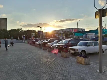 Чайка оренбург