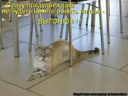 Я опять вас не поняла