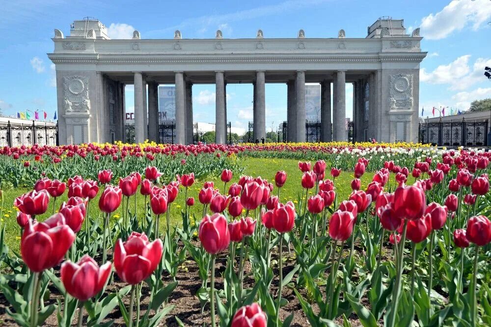 Московское горький парк. Парк Горького Москва. Парк культуры Горького Москва. Центральный парк Горького Москва. ЦПКИО имени Горького Москва.