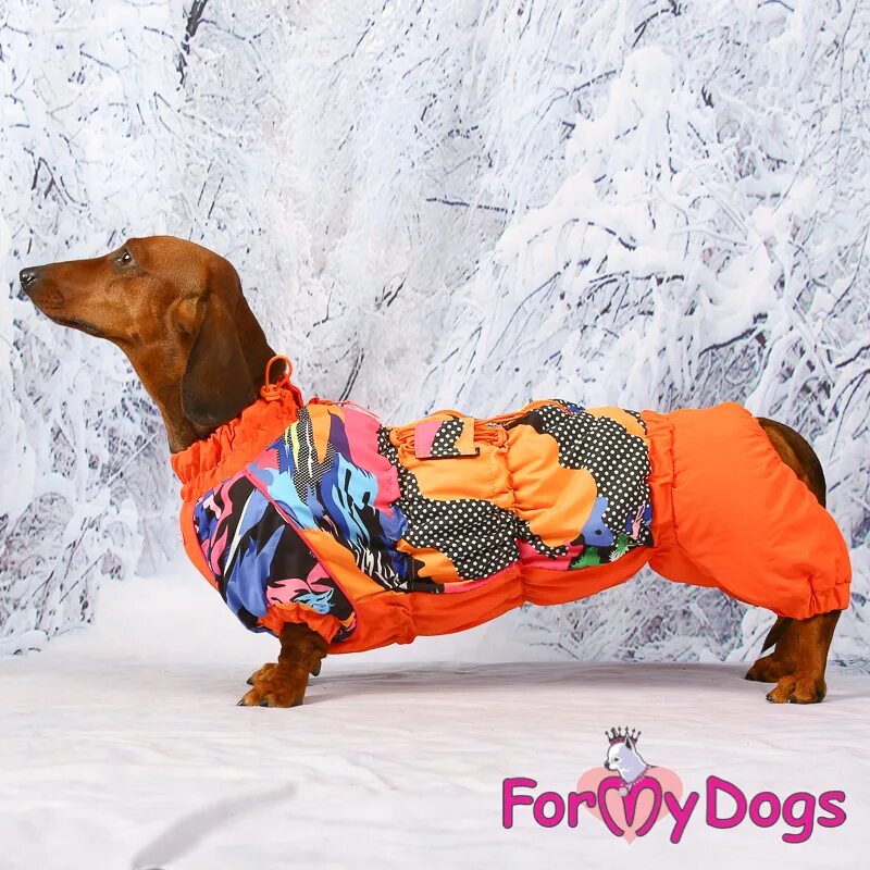 Жилет для таксы formydogs. Одежда на таксу мальчика. Gamma gamma комбинезон зимний "такса". Комбинезон для таксы девочки. Одежда для собак такса.