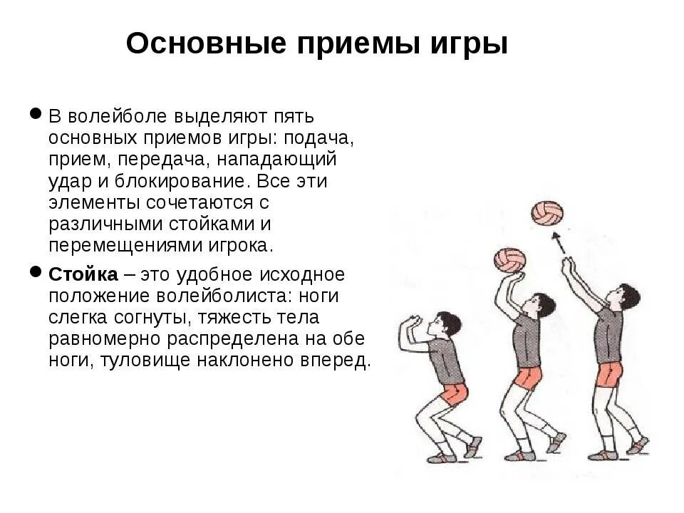 Волейбол правила игры подачи. Основные приемы игры в волейбол. Основные приемы в волейболе. Волейбол технические приемы в волейболе. Схема приема подачи волейбол.