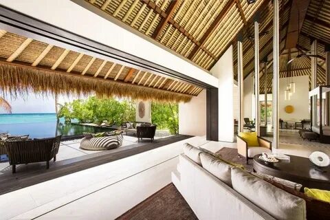 Cheval blanc