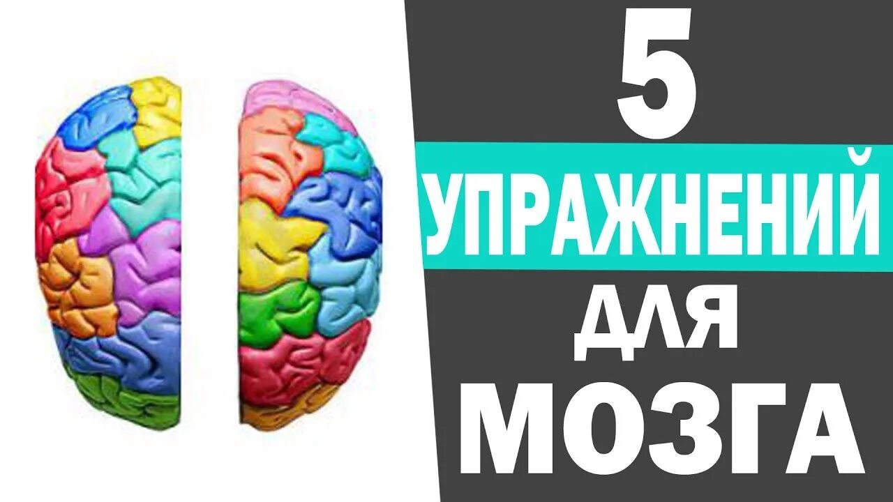 Занятия для мозга. Занятия для развития мозга. Упражнения для мозга. Развитие полушарий мозга упражнения для мозга.