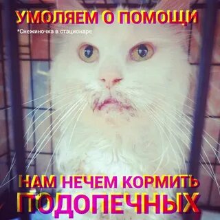 Кормить нечем