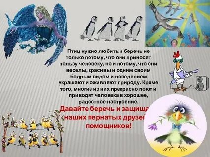 Роль птиц в жизни