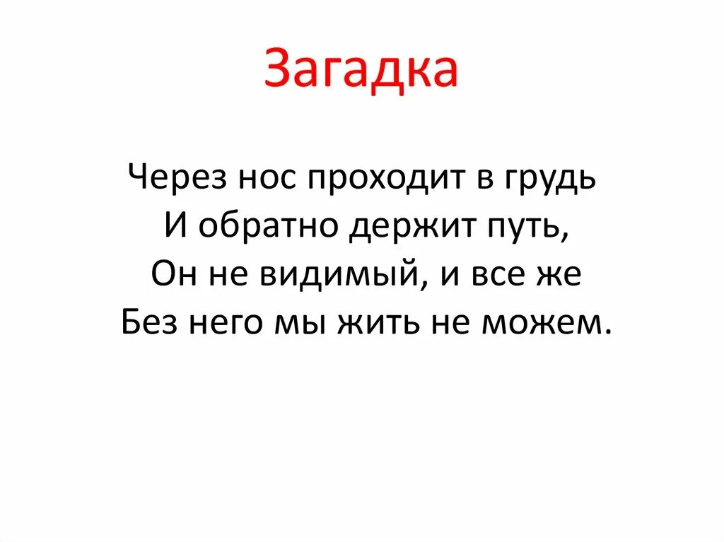 Загадки про народ. Загадки про дыхательную систему. Загадки о дыхательной системе человека. Загадки про дыхательную систему человека с ответами. Загадки про органы дыхания для дошкольников.