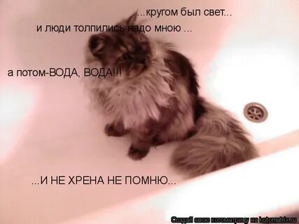 Не хрена я не должен