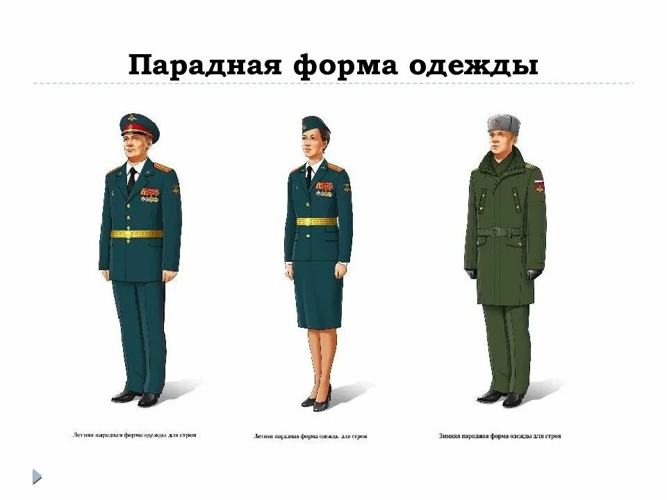 Форма одежды военнослужащих 1. Северский драгунский полк форма. Военная форма и знаки различия военнослужащих вс рф. Униформа российской императорской армии 1914. Парадная форма знаки различия.