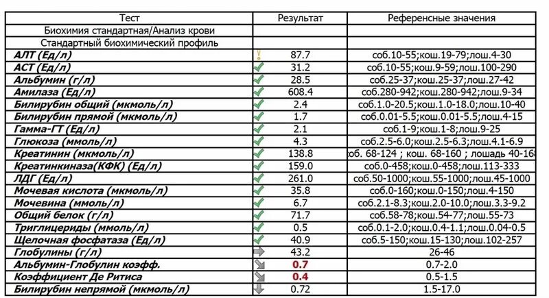 Биохимия крови зачем. Стандарт биохимии крови расшифровка. Стандартный биохимический анализ крови показатели. Стандарт биохимии для анализа крови. Биохимический анализ крови биохимия расшифровка.