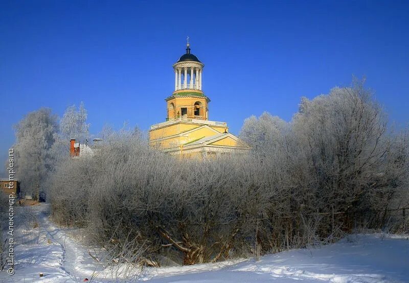 Фото мурино ленинградская область