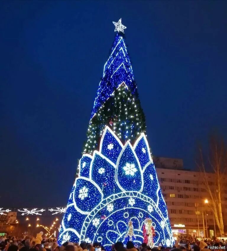 Елка в киеве 2024. Новый год в украине. Рождественский киев. Рождественская елка. Елка в киеве 2022.