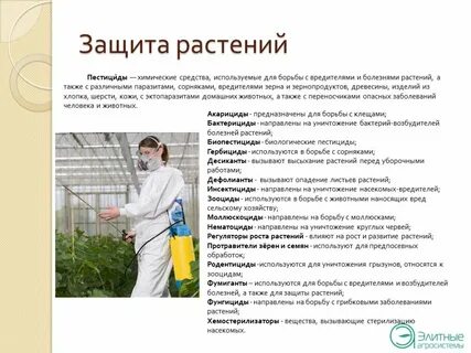 Применение химических средств защиты растений