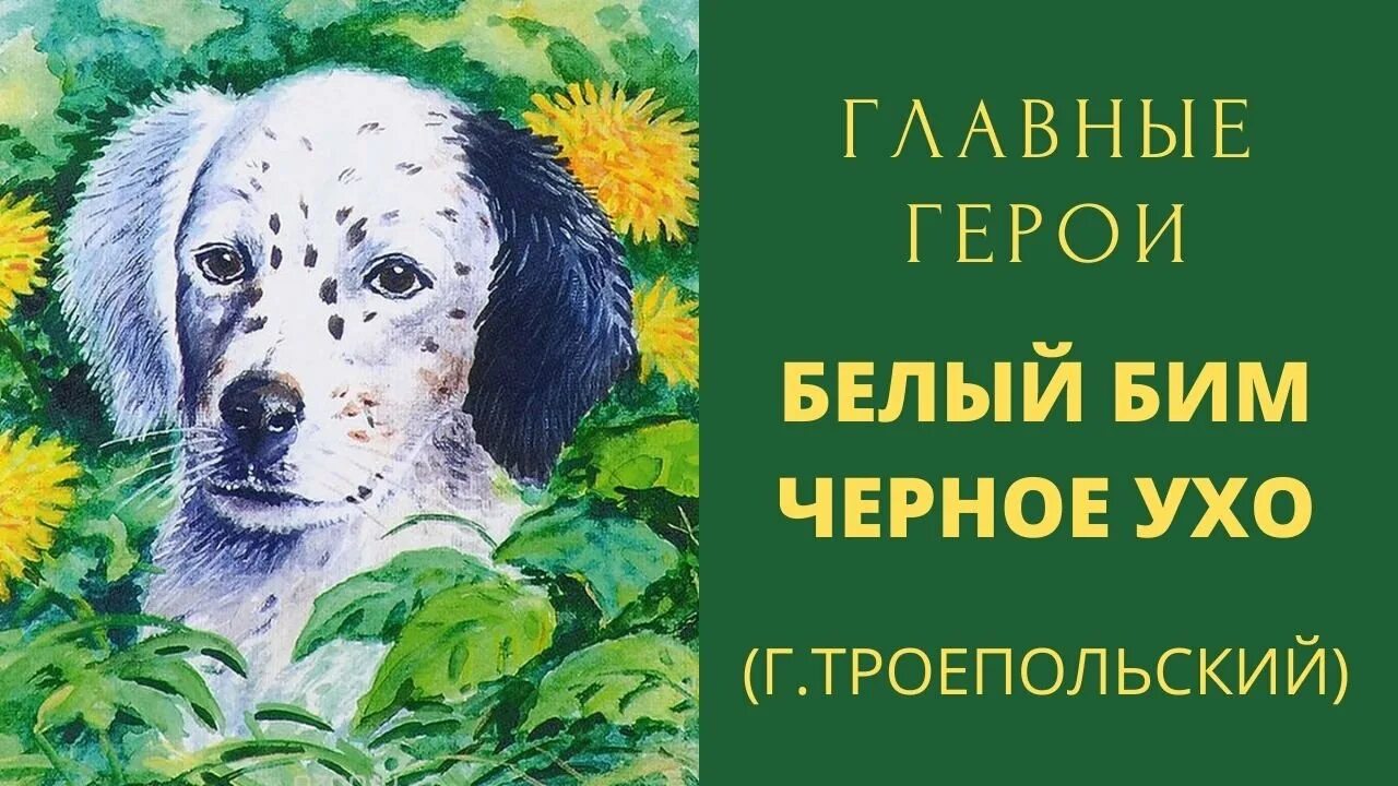 Белый бим чёрное ухо книга автор. Белый бим черное ухо троепольский читательский дневник. Краткий пересказ белый бим черное ухо. Обложка книги белый бим черное ухо. "белый бим черное ухо" гавриила троепольского.