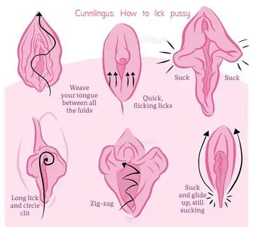 Different pussy licking positions.