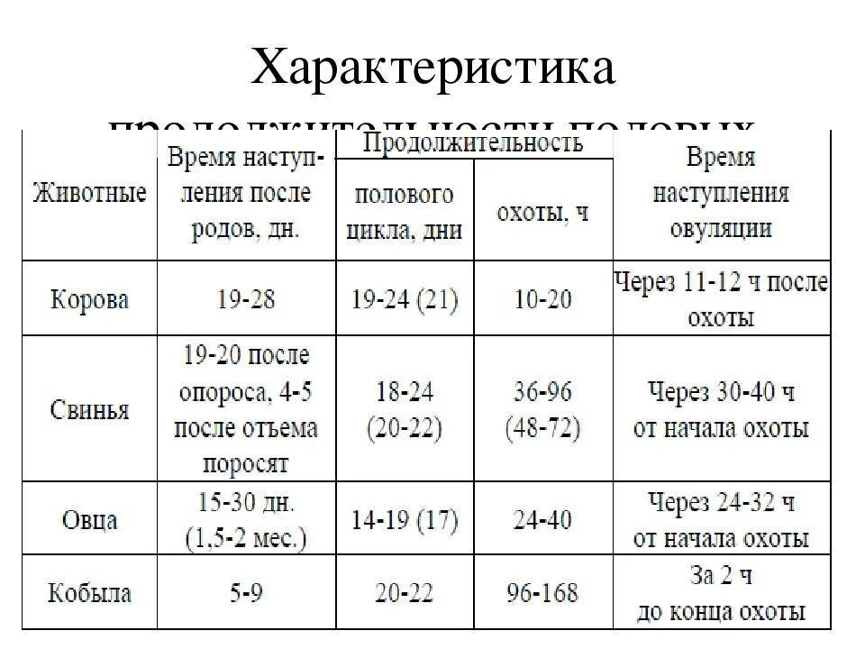 Стадии полового цикла самок. Характеристика полового цикла. Фазы полового цикла у животных. Половые циклы самок. Стадии полового цикла у коров.