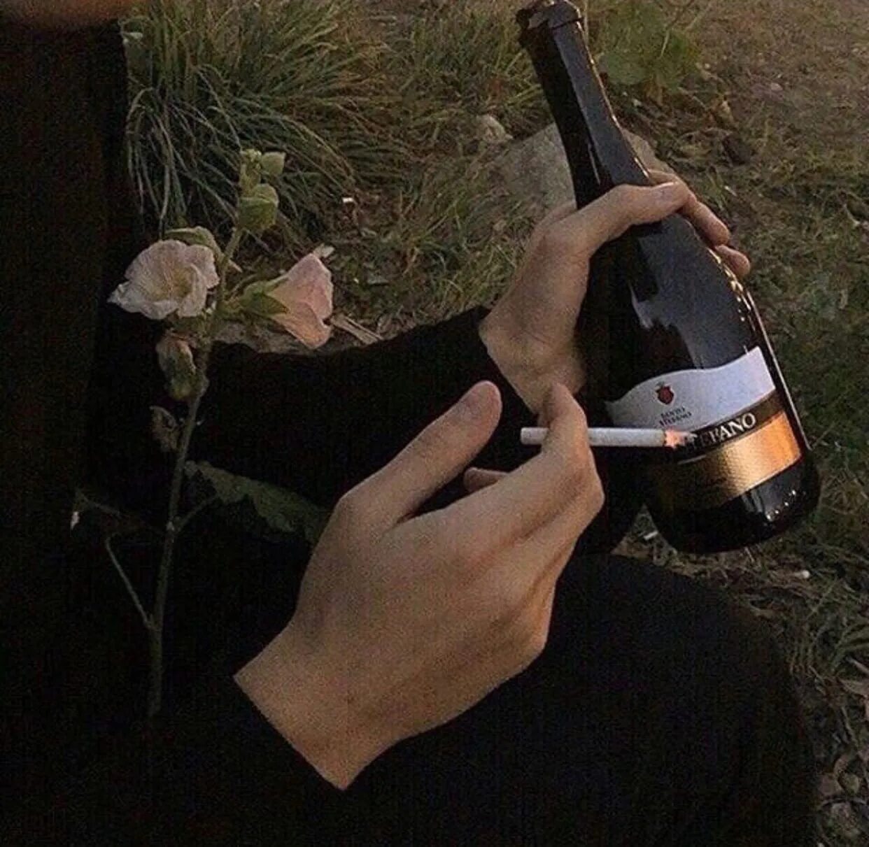 Вино и сигареты. Бутылка вина в руке. Бутылка вина и сигареты. Бутылка шампанского в руке. В ее руках вино