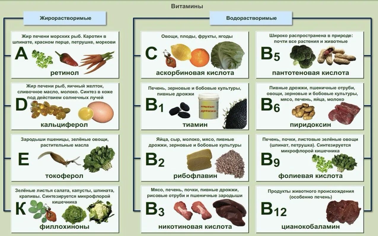 Витамины в продуктах. Виды витаминов. Витамины в еде. Таблица по витаминам. Практическая работа сохранение витаминов в пищевых продуктах