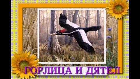 Горлица и дятел песня