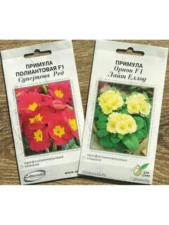 Семена примулы