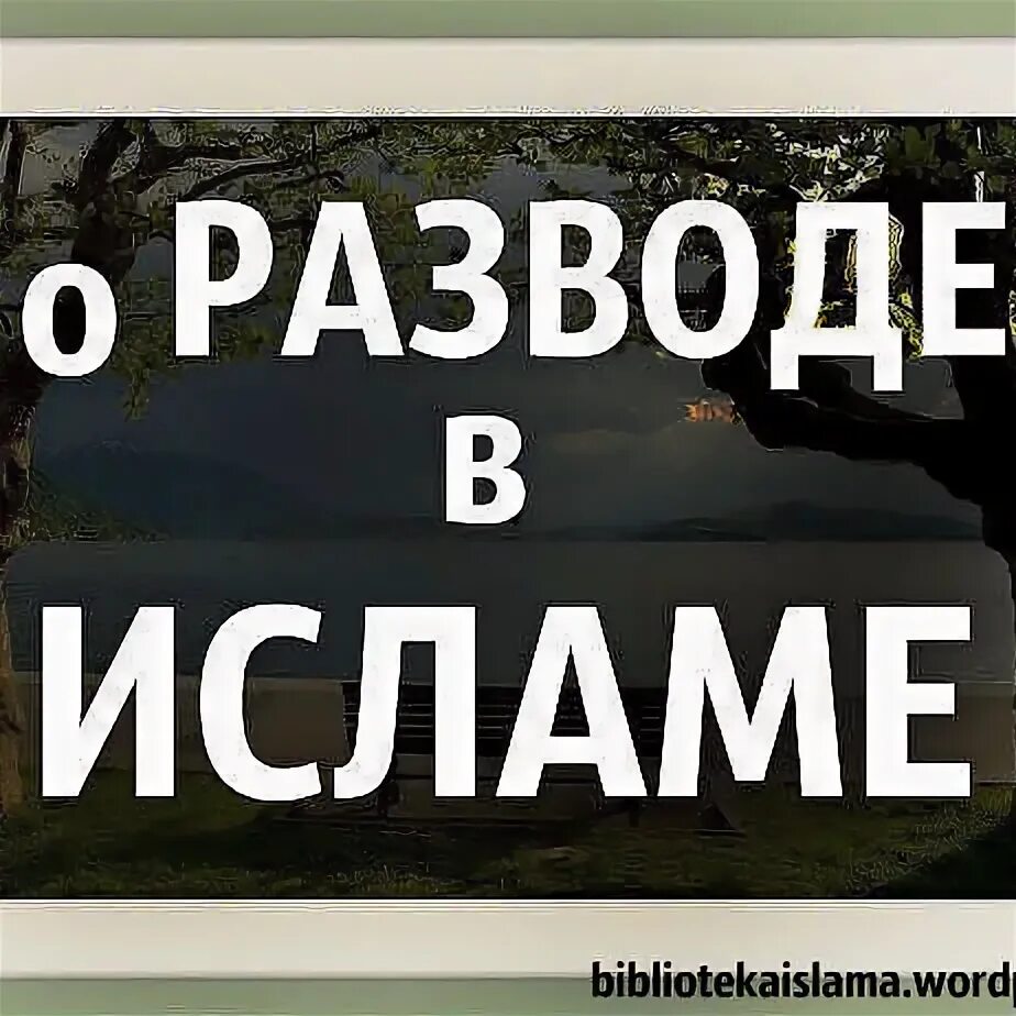 Развод по мусульмански. Развод по исламу. Разводы в Исламе. Слова развода в Исламе.