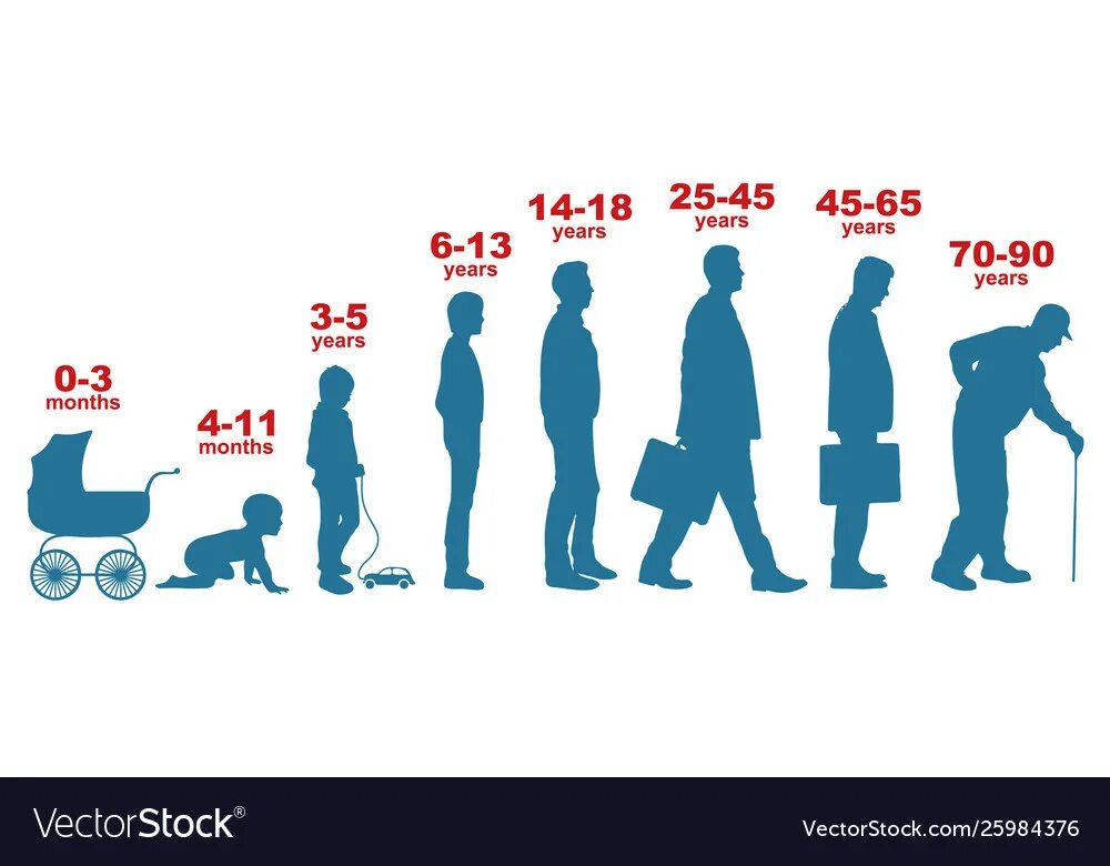 Сколько считается поколение. Возраст человека. Этапы роста человека. Рост человека в разном возрасте. Люди по возрасту.