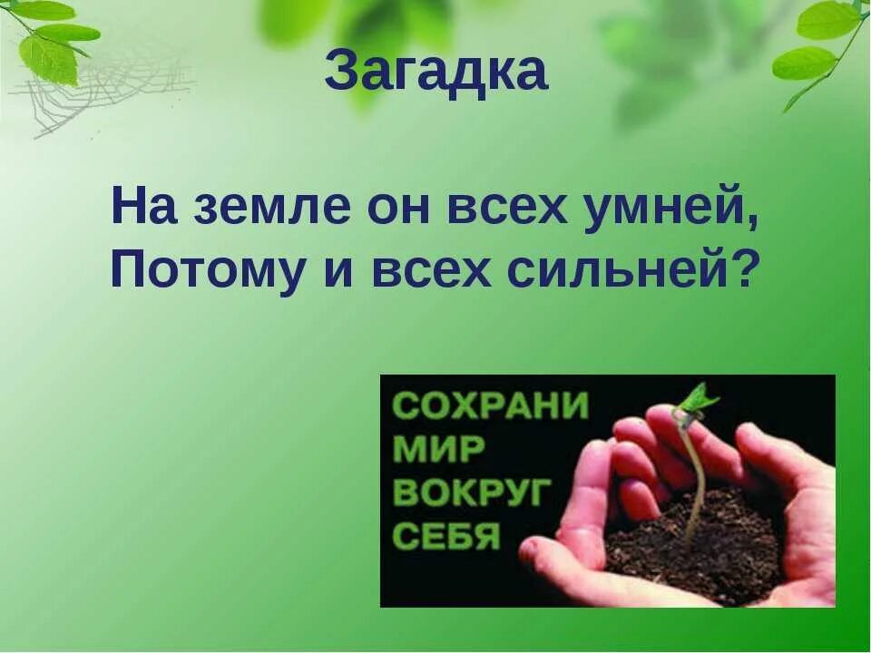 Пословицы о земле кормилице и растениях. Загадки о земле. загадки о почве. загадки о земле кормилице и растениях. загадки о почве и земле.