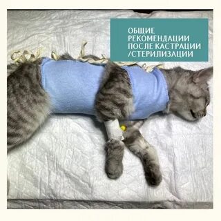Забеременеть после стерилизации
