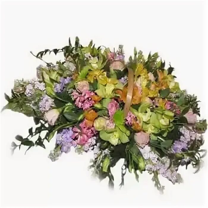 Domenika flowers. Domenika flowers