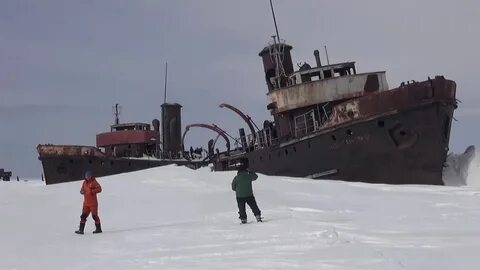 Тини тикси