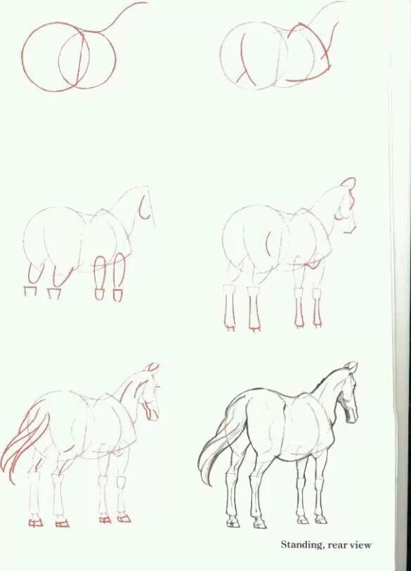 Уроки рисования карандашом с нуля для начинающих. Рисунки карандашом для начинающих. Поэтапное рисование карандашом. Поэтапное рисование лошади. Лошадь рисунок карандашом.