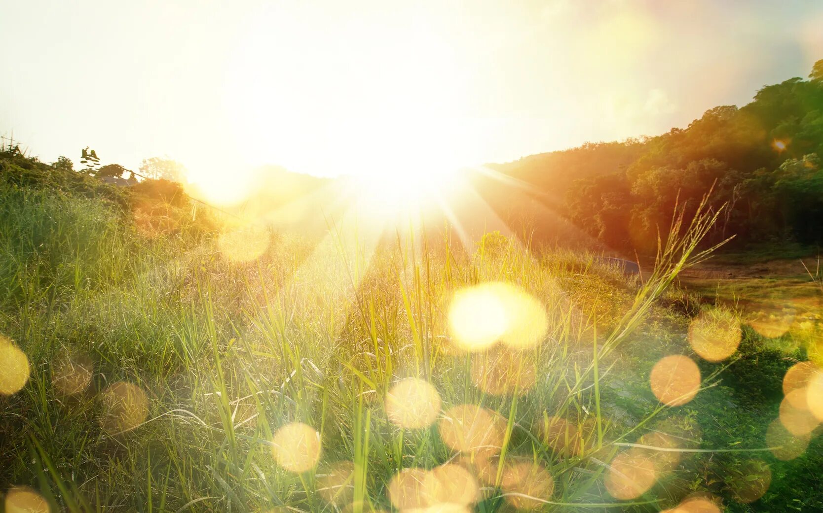 Look the sun shine. Жара трава солнце море. Пляж бокэ. Sun Light, bokeh, rays of Light, Golden Sparkle and Golden little Flowers. Bokeh Heart Overlays.