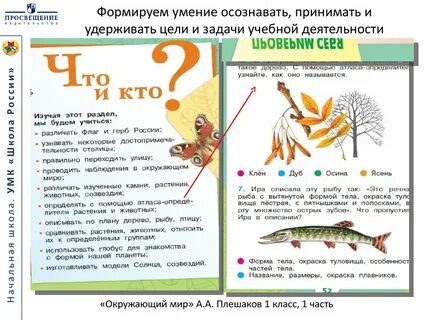 Окружающее курс