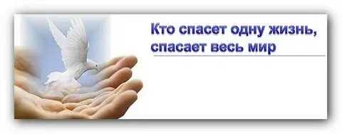 Была спасена не одна жизнь