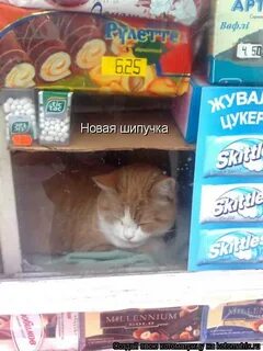 Жду объявления