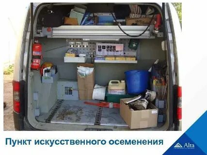 Пункт искусственного осеменения