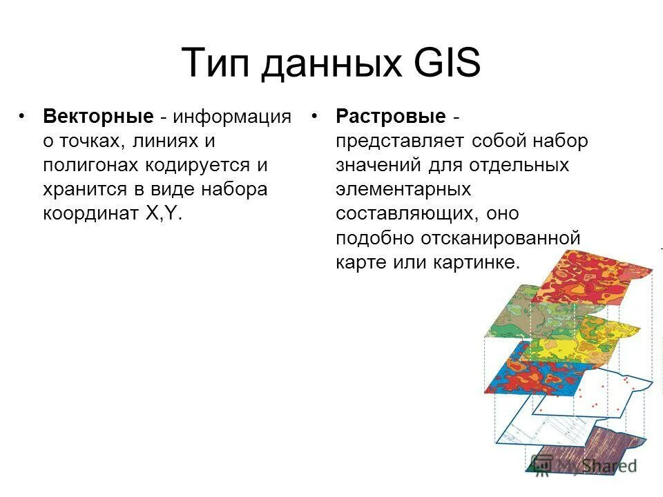 Векторные и растровые данные в ГИС. Данные ГИС. Типы информации в ГИС. Организация информации в гис