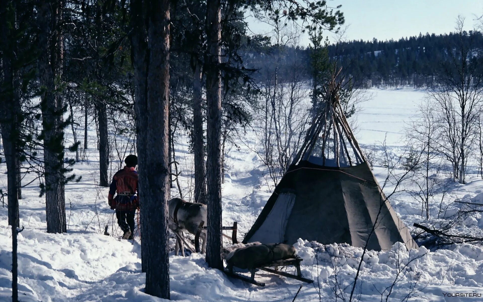 Чум в тайге. Эвенкийский чум забайкалье. Чум из брезента. Зимние жилища. Север ненцы чум.