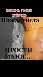 Первое прости