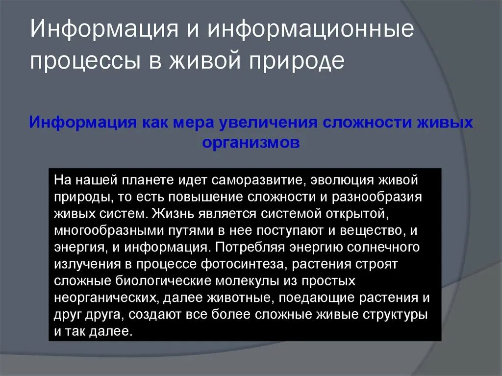 Примеры информации в природе: найдено 86 картинок