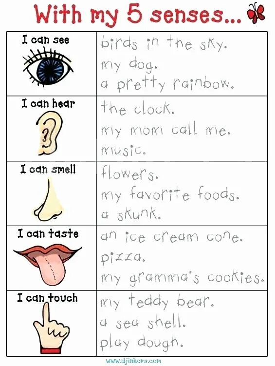 Could see. Упражнения по теме 5 senses 2 класс. Senses Worksheet. 5 Senses Worksheets. Senses Worksheet for Kids.