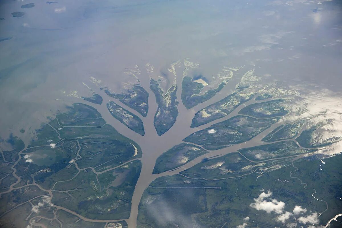 Дельта реки миссисипи. Дельта реки миссисипи. Северная америка река миссисипи. Дельта миссисипи устье реки. Устье миссисипи.