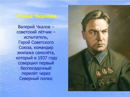 Значение слова летчик